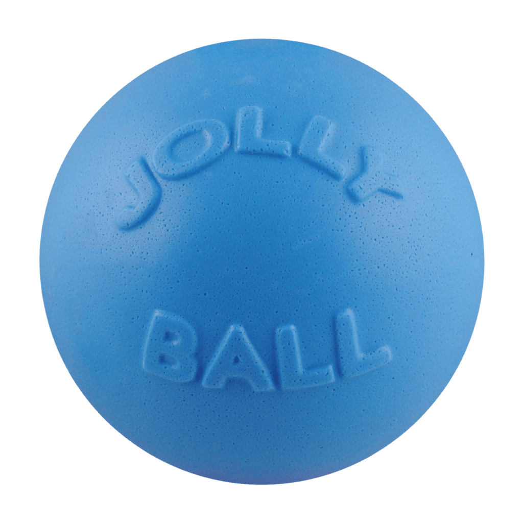 Bounce-n-Play by Jolly Pets