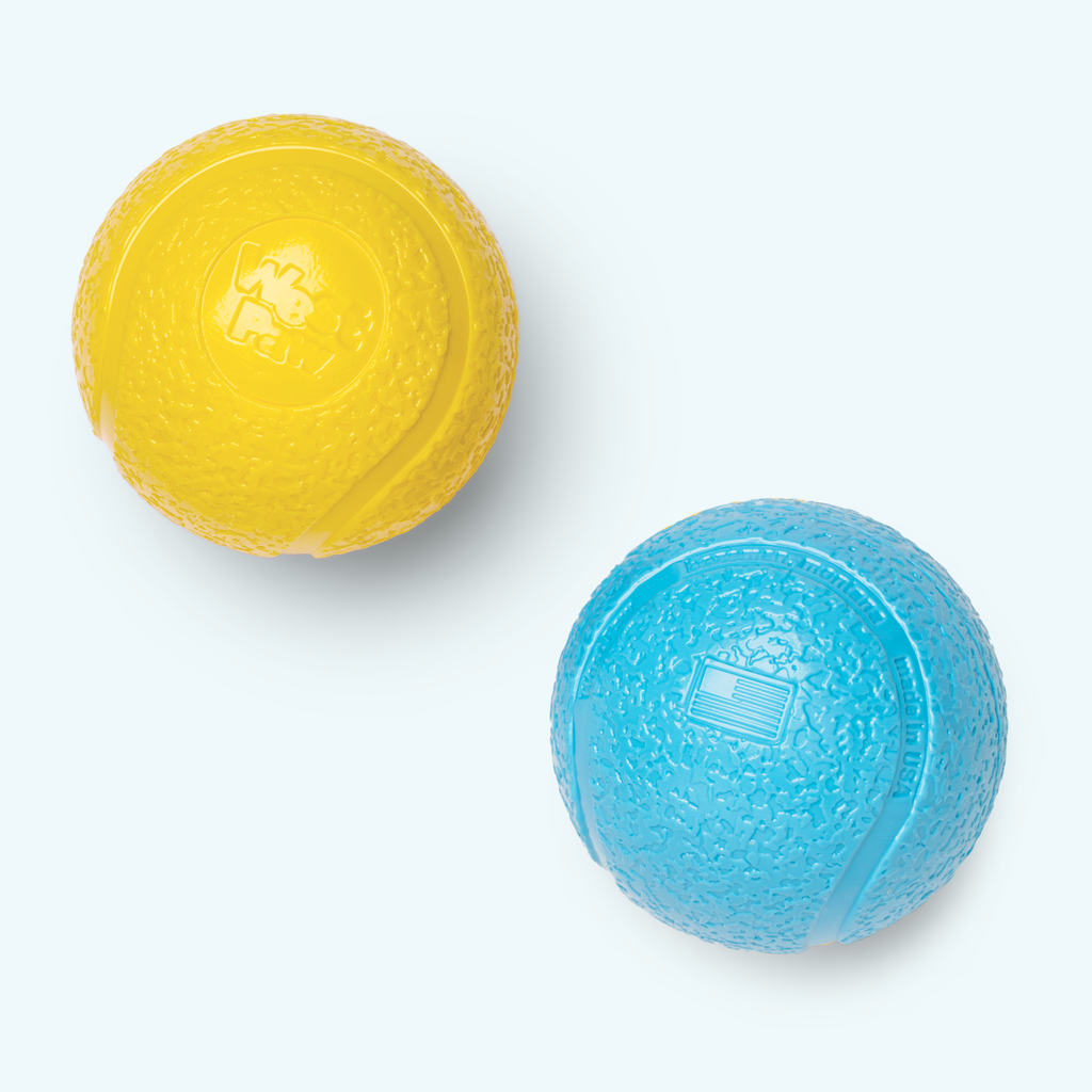 Boundr by West Paw