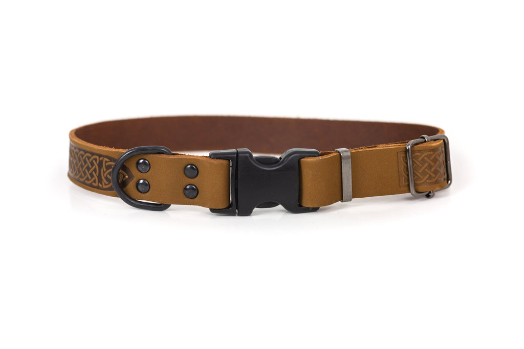 Celtic Sport Earth Brown Leather Dog Collar by Euro-Dog Collars and Leads