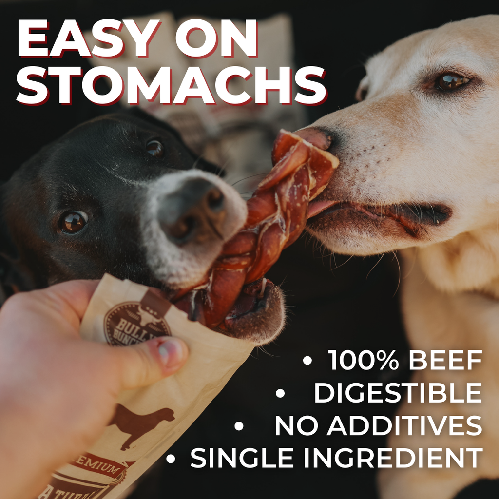Small Bully Stick Ring by Bully Bunches