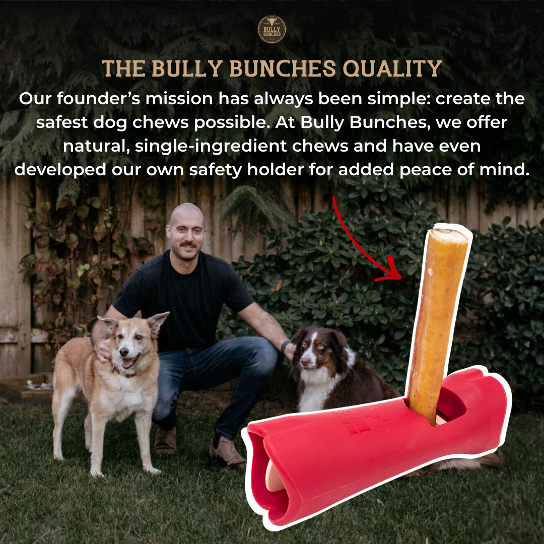 12 Inch Monster Braided Bully Stick by Bully Bunches