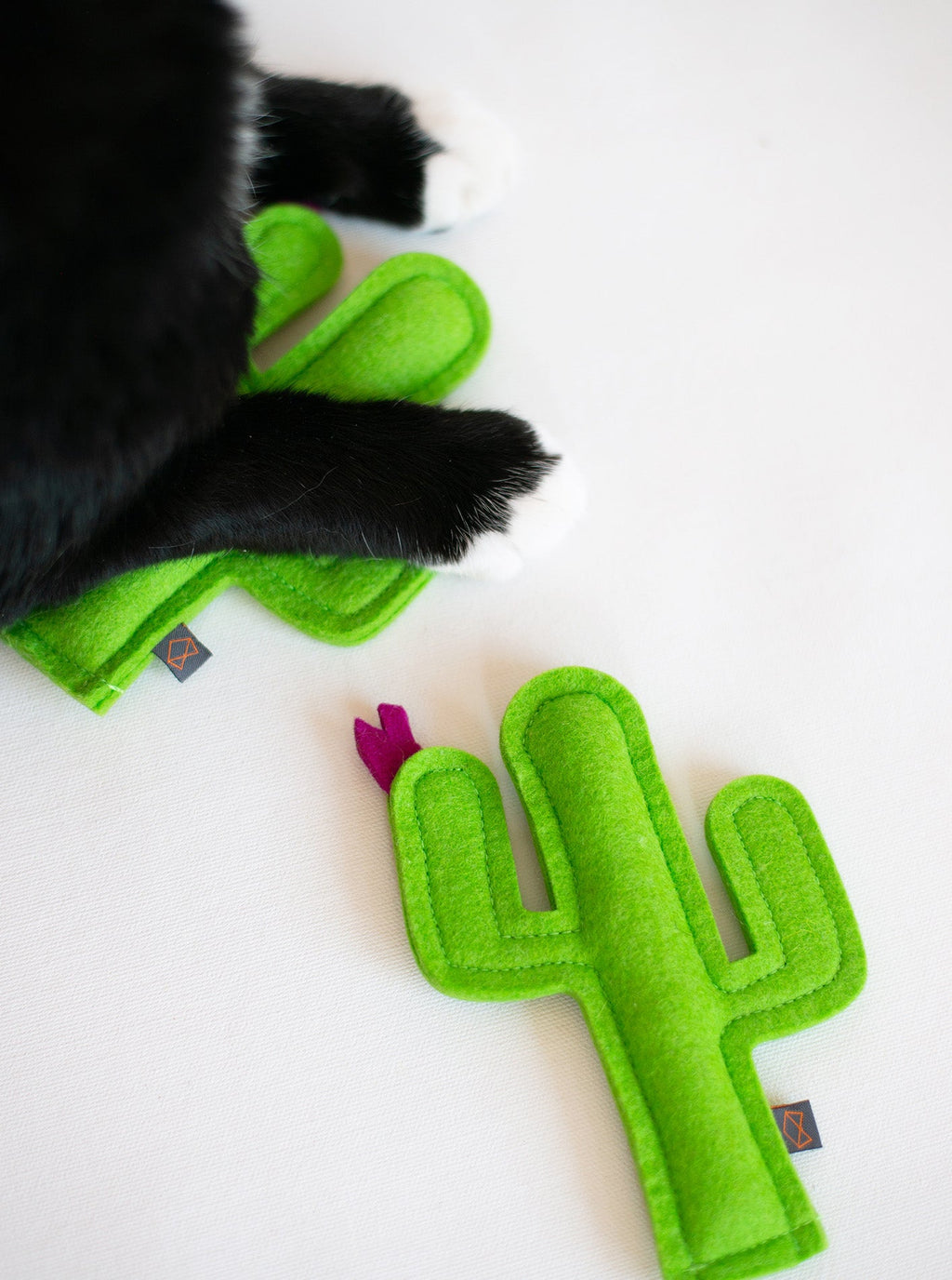 KITTY CACTUS by MODERNBEAST
