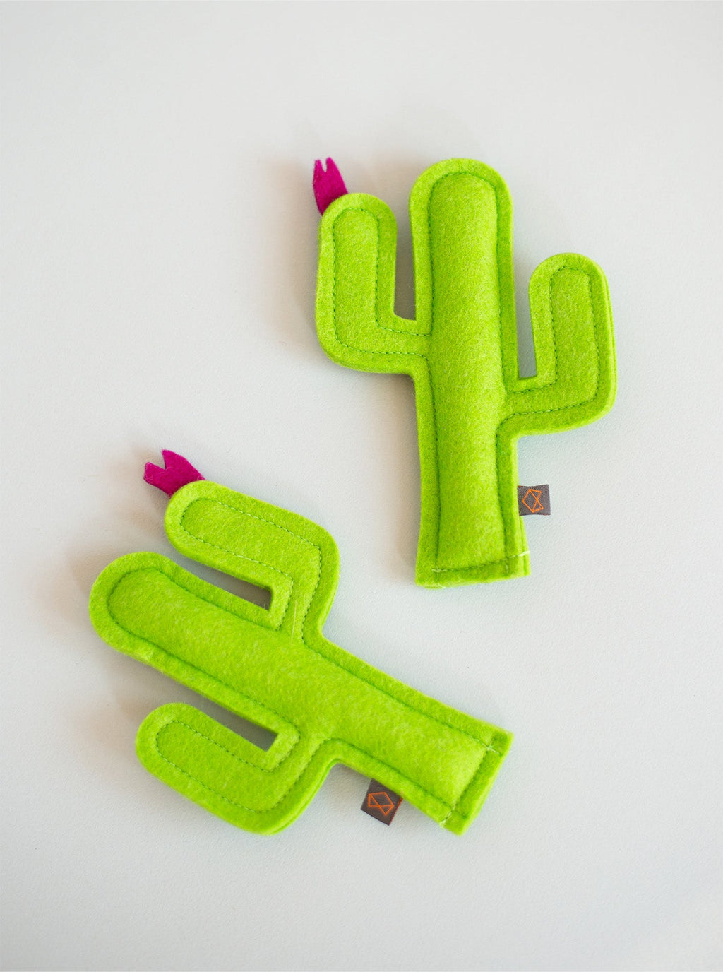 KITTY CACTUS by MODERNBEAST