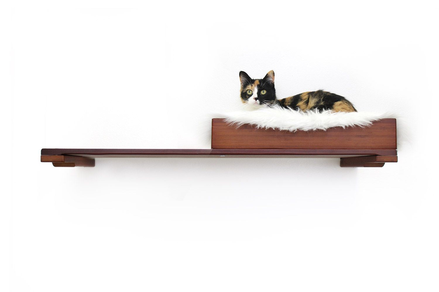 The Cat Nest Bed by Catastrophic Creations