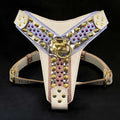 THE CANDY Harness by Bestia Dog Gear