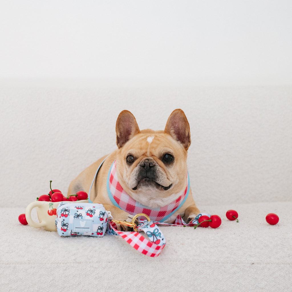 Frenchie Poo Bag Holder - Cherries Blue by Frenchie Bulldog