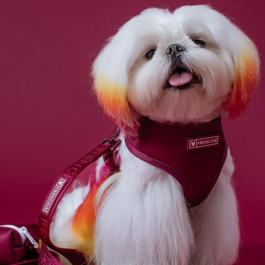 Frenchie Duo Reversible Harness - Solid Ruby by Frenchie Bulldog