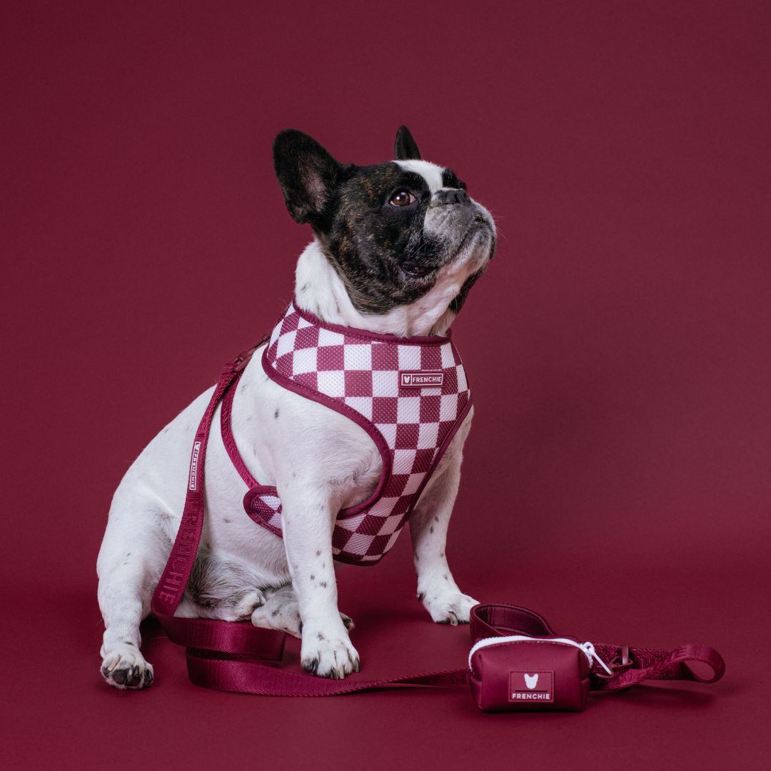Frenchie Duo Reversible Harness - Solid Ruby by Frenchie Bulldog