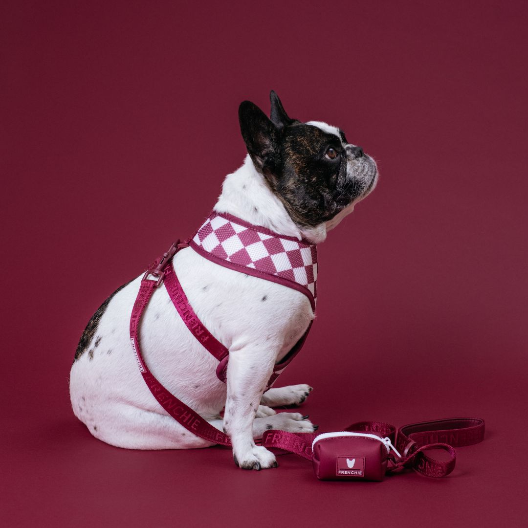 Frenchie Duo Reversible Harness - Solid Ruby by Frenchie Bulldog