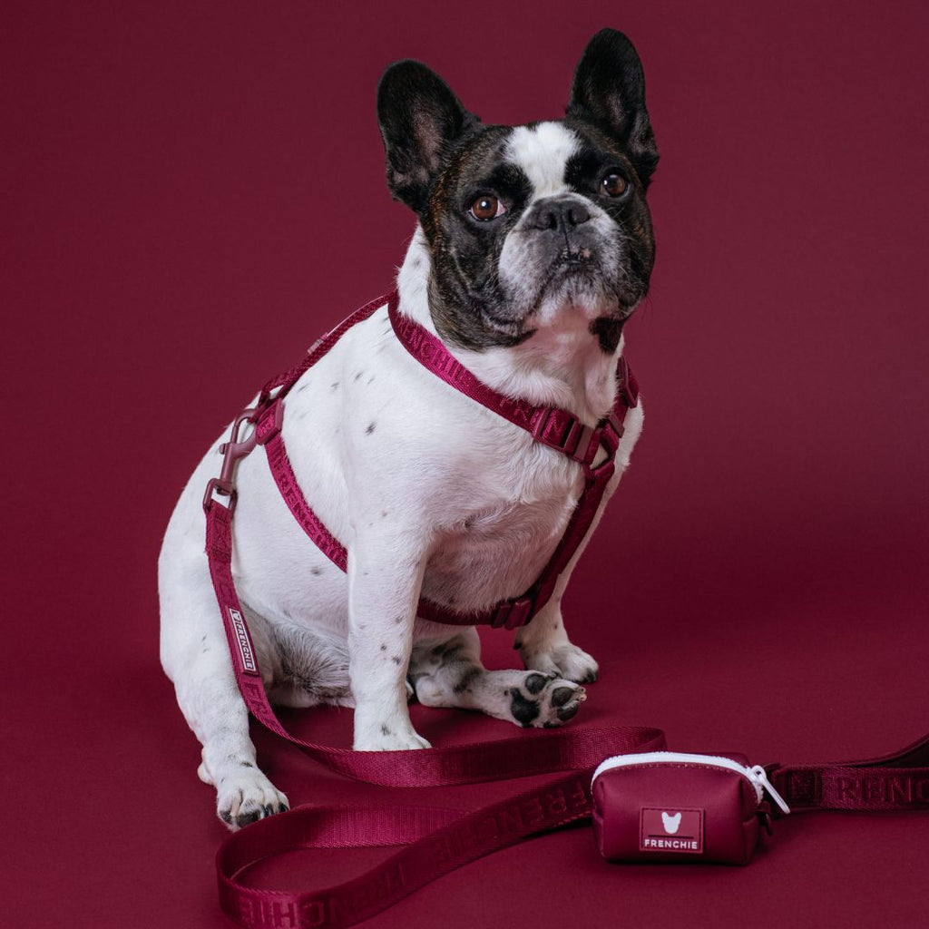 Frenchie Poo Bag Holder - Solid Ruby by Frenchie Bulldog