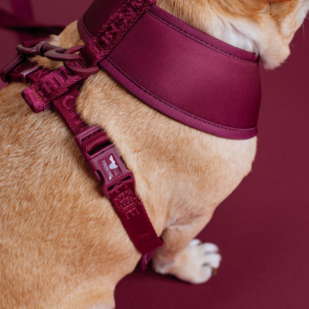 Frenchie Duo Reversible Harness - Solid Ruby by Frenchie Bulldog