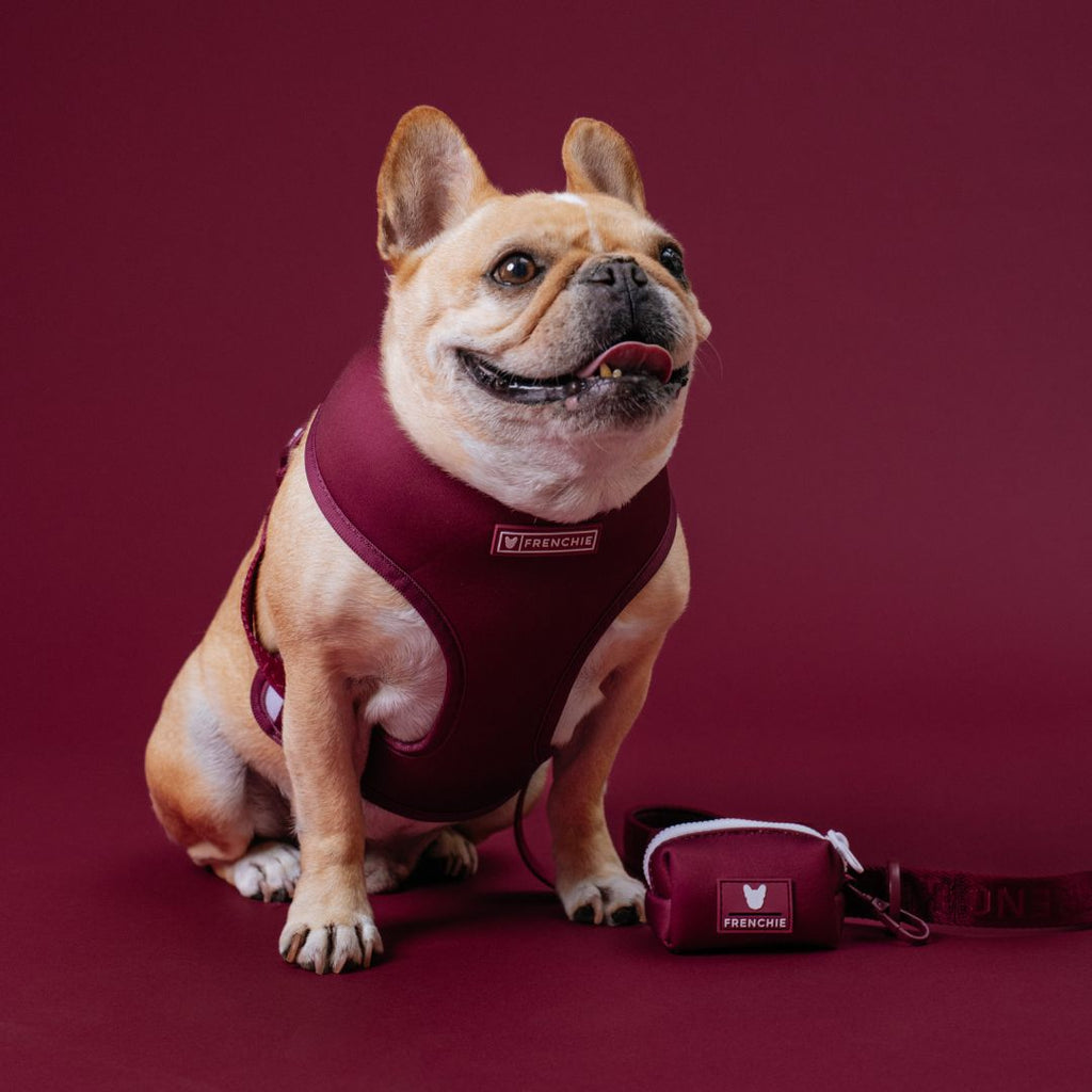 Frenchie Duo Reversible Harness - Solid Ruby by Frenchie Bulldog