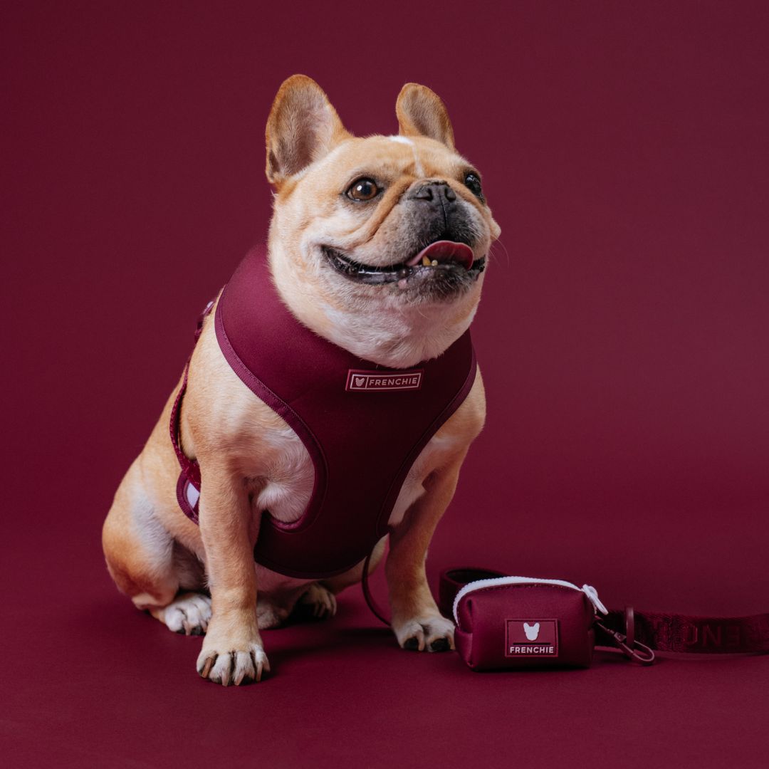 Frenchie Duo Reversible Harness - Solid Ruby by Frenchie Bulldog