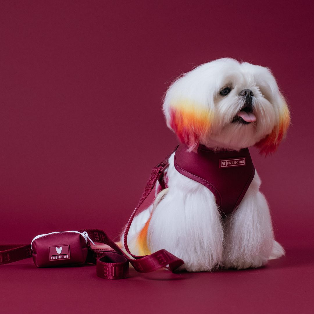 Frenchie Duo Reversible Harness - Solid Ruby by Frenchie Bulldog