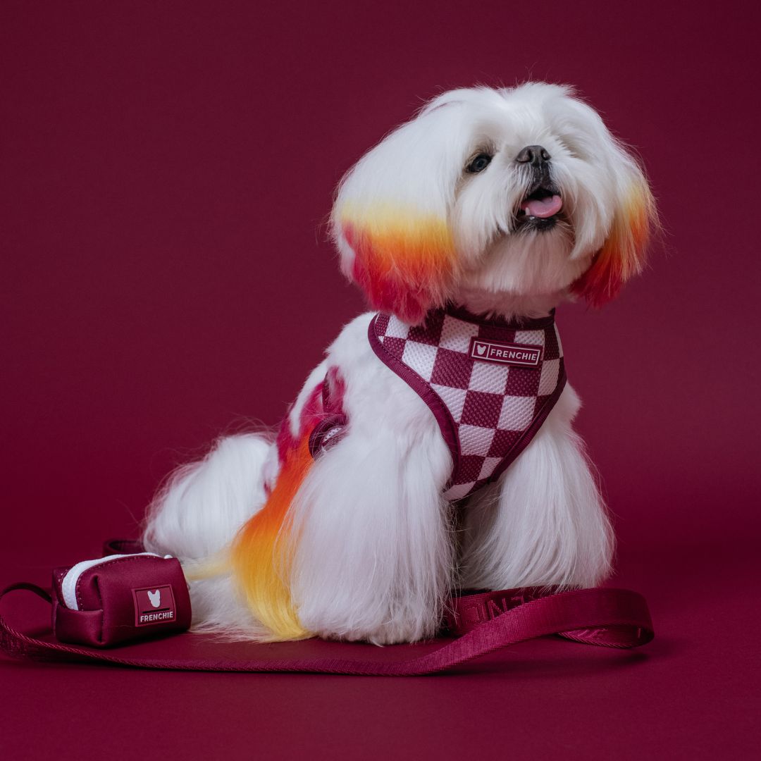 Frenchie Duo Reversible Harness - Solid Ruby by Frenchie Bulldog