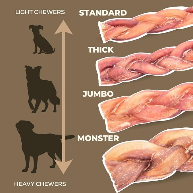 12 Inch Monster Braided Bully Stick by Bully Bunches