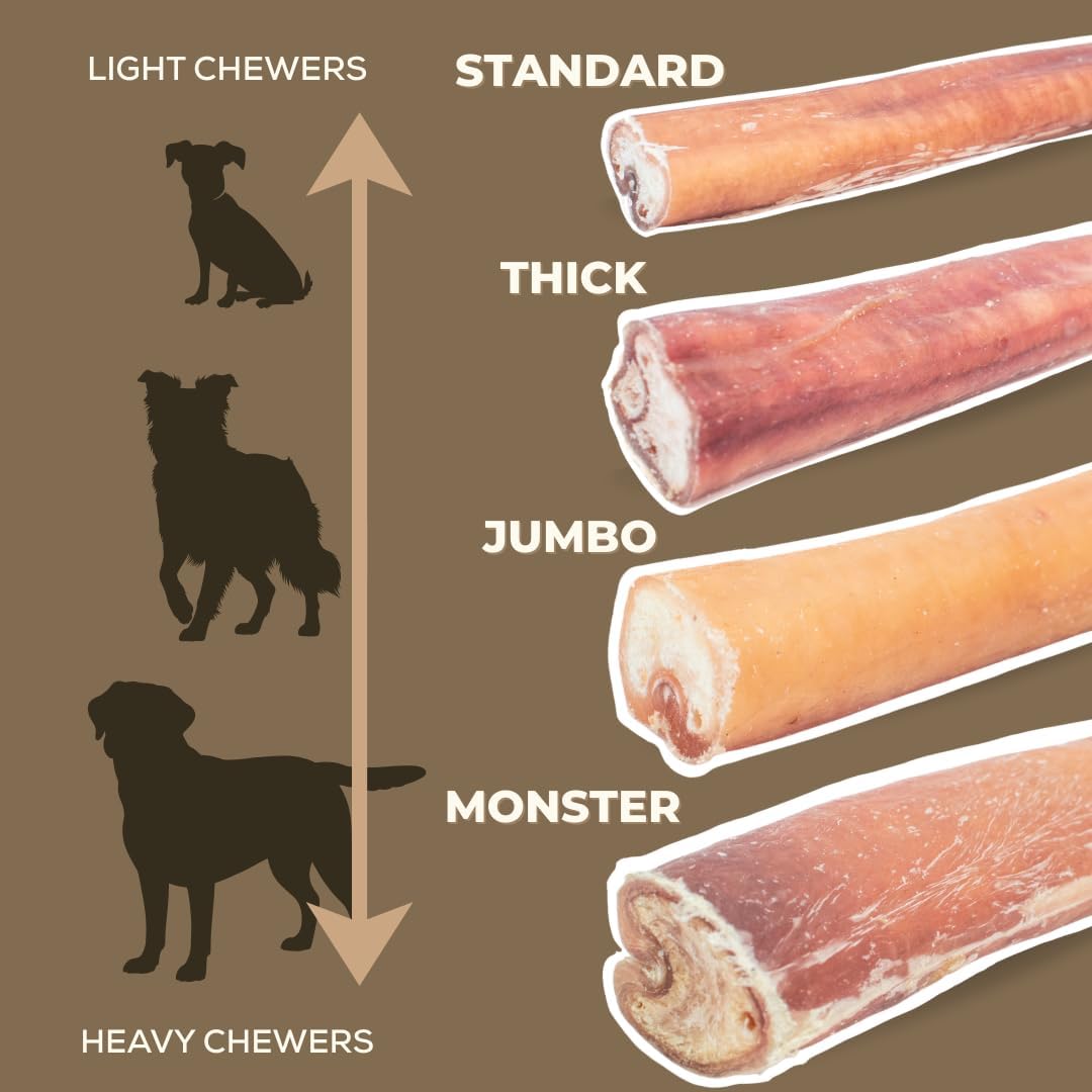 12 Inch Jumbo Bully Stick by Bully Bunches