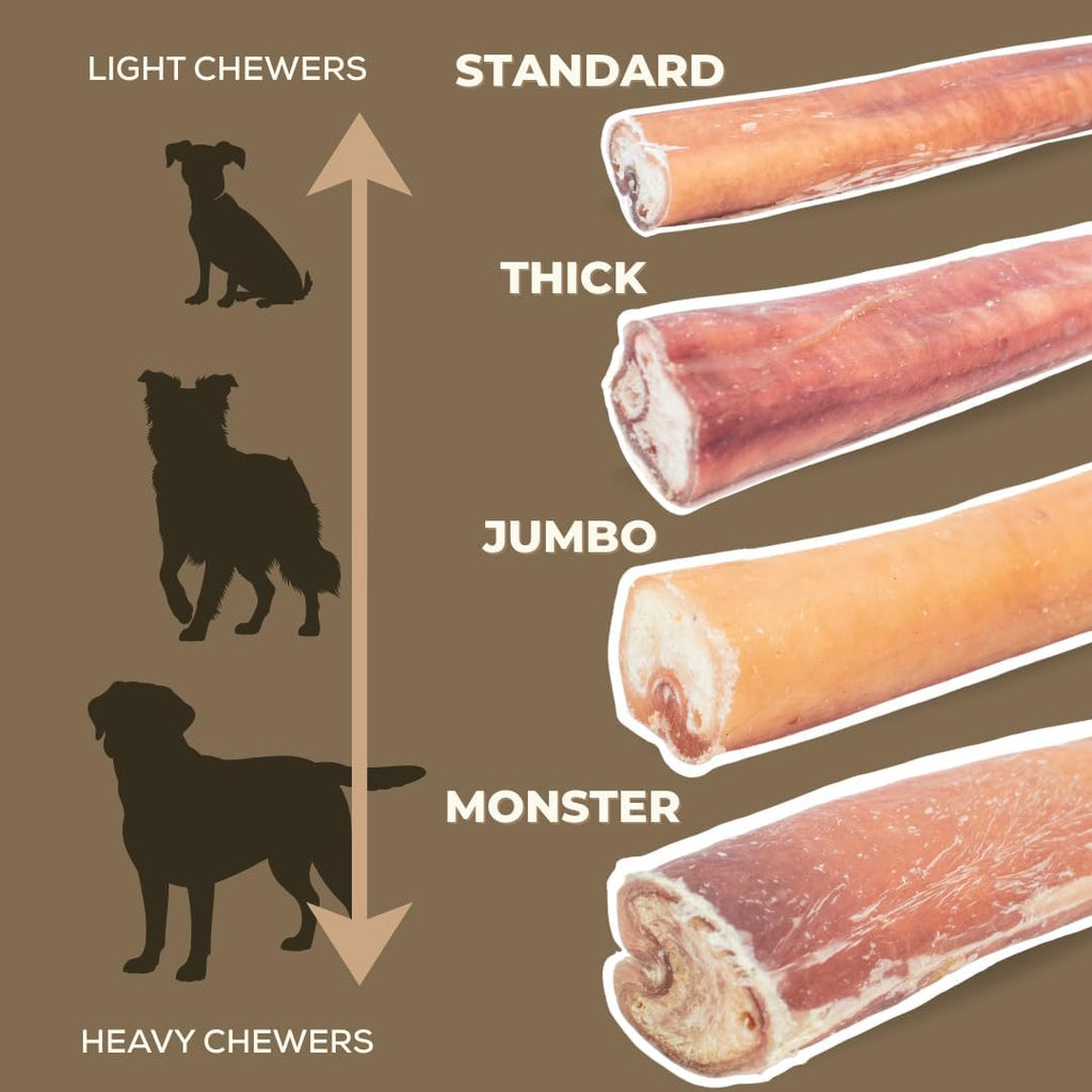 12 Inch Thick Bully Stick by Bully Bunches