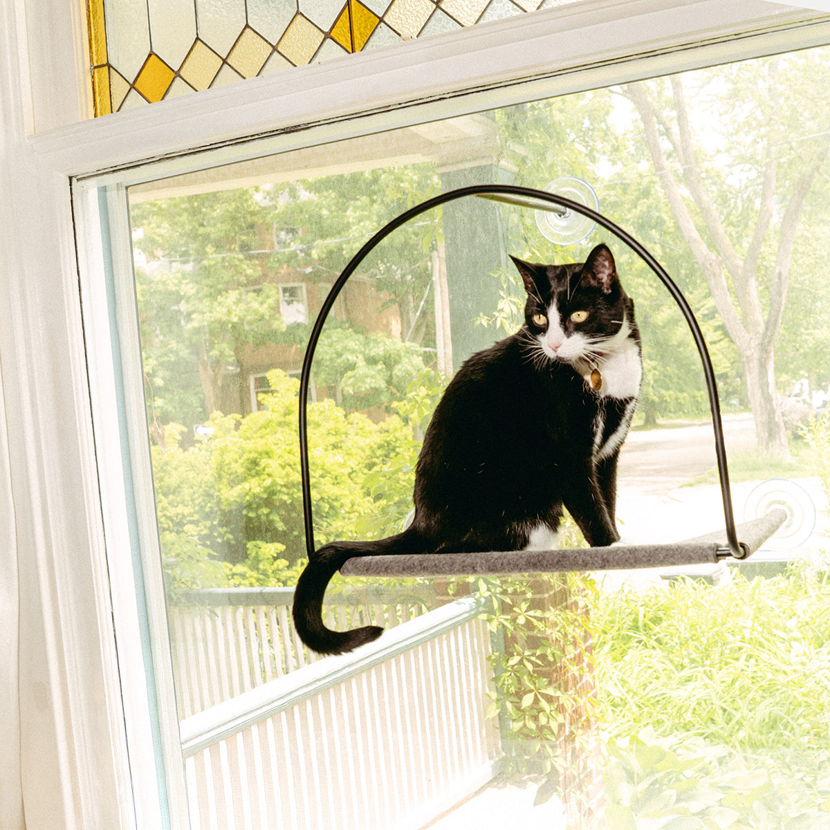 Cloud Nine Window Hammock by tuft + paw