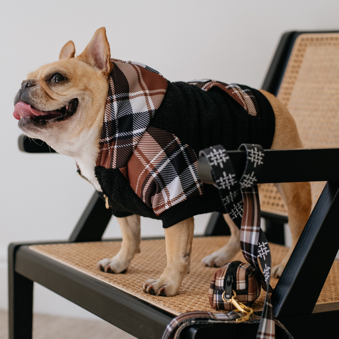 Frenchie Dog Hoodie - Cocoa Plaid by Frenchie Bulldog
