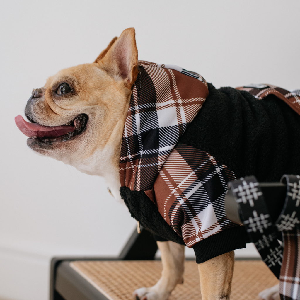 Frenchie Dog Hoodie - Cocoa Plaid by Frenchie Bulldog