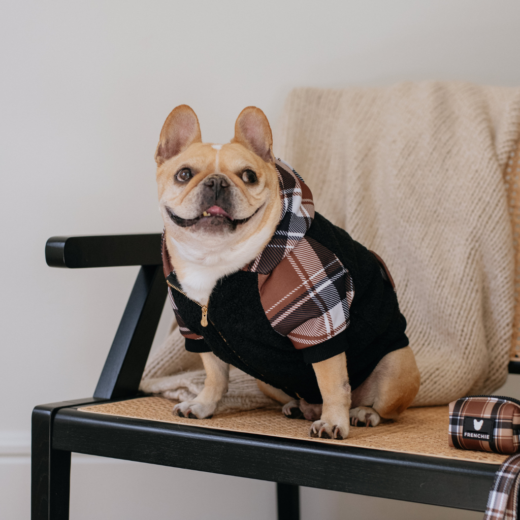 Frenchie Dog Hoodie - Cocoa Plaid by Frenchie Bulldog