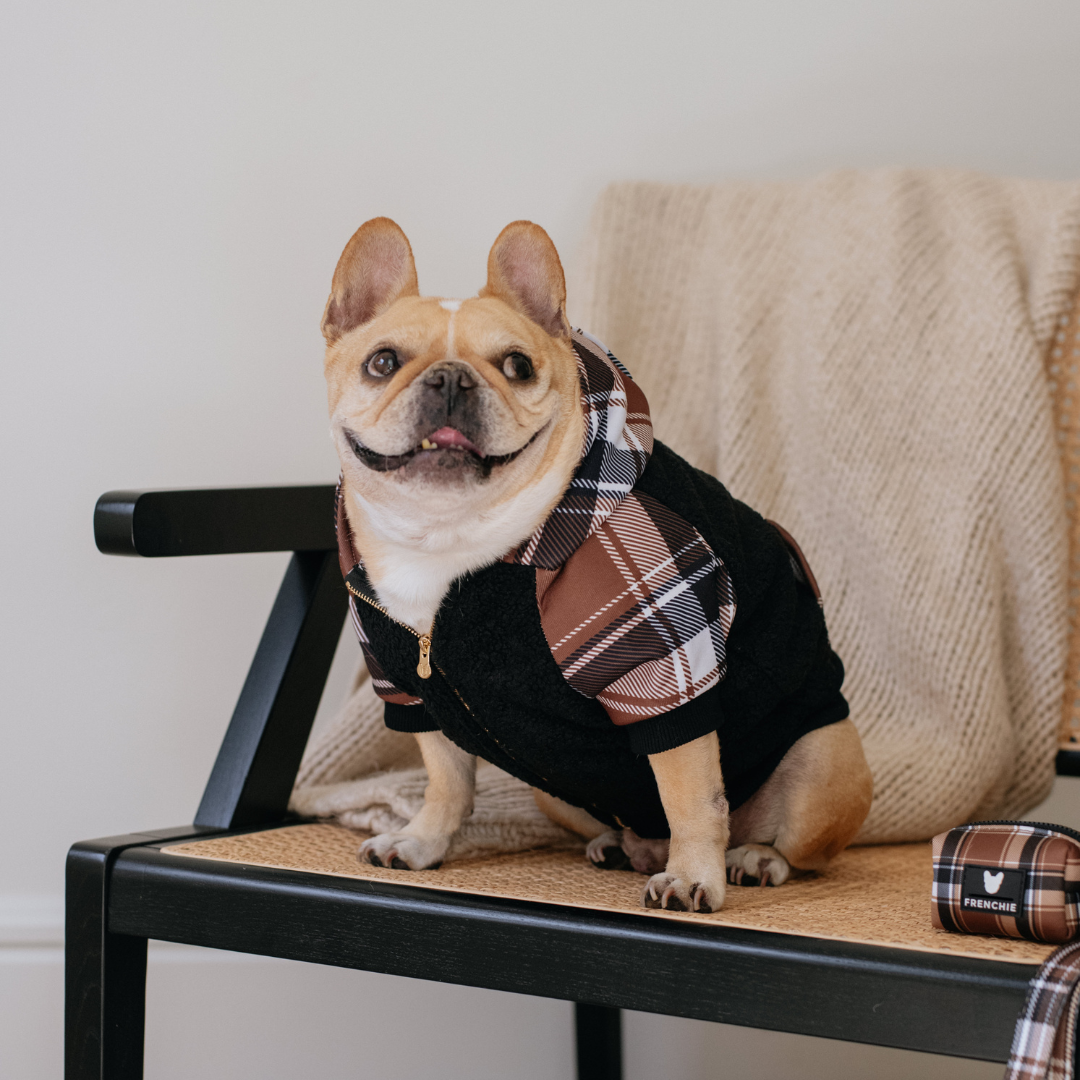 Frenchie Dog Hoodie - Cocoa Plaid by Frenchie Bulldog