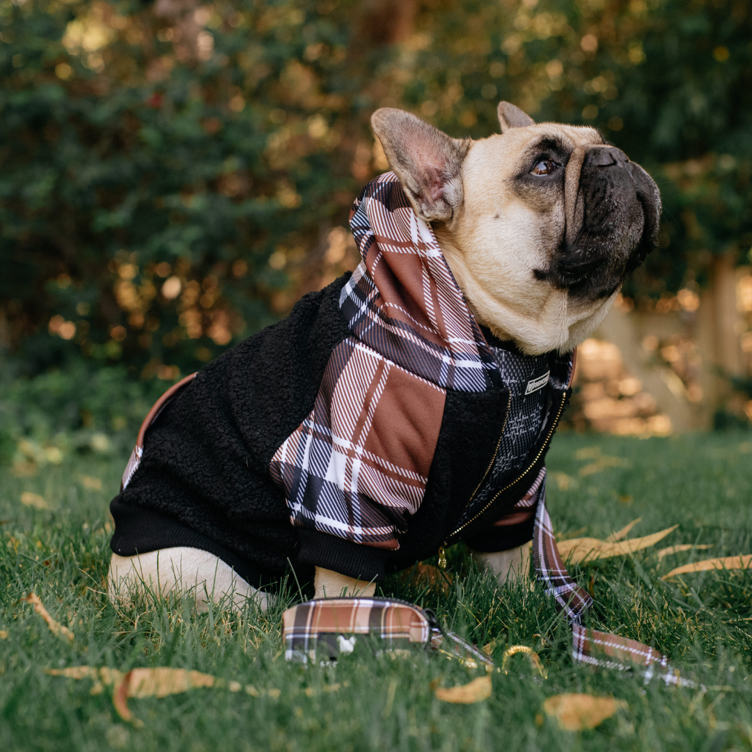 Frenchie Dog Hoodie - Cocoa Plaid by Frenchie Bulldog