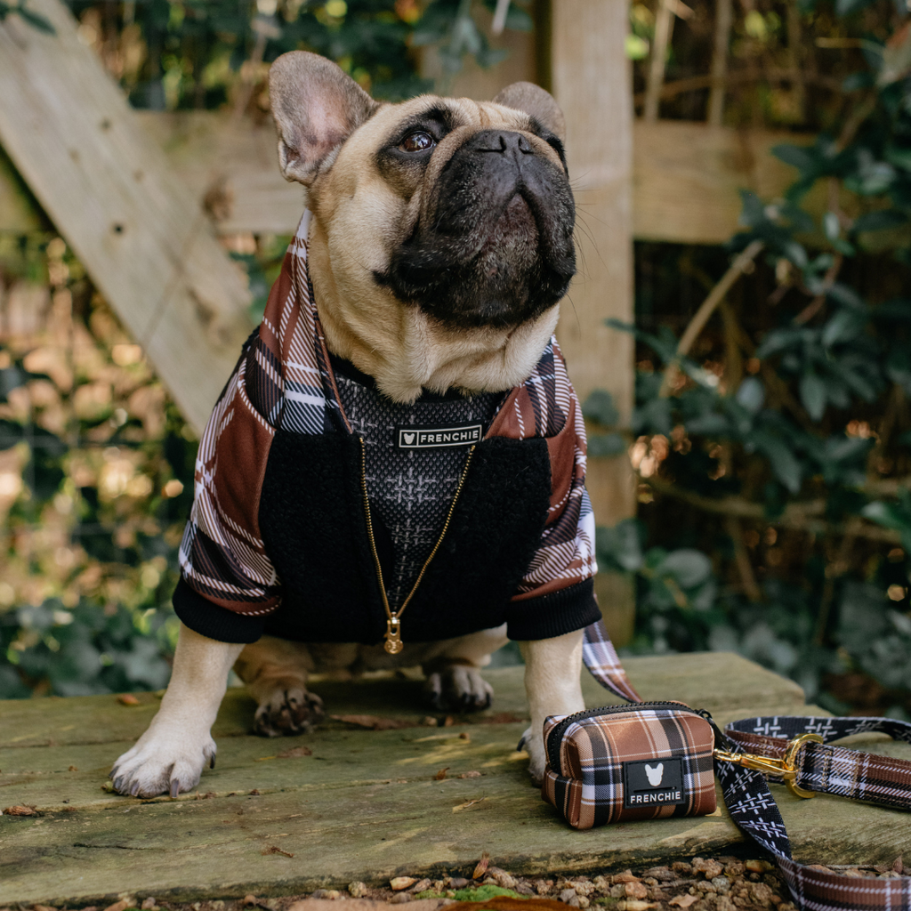 Frenchie Dog Hoodie - Cocoa Plaid by Frenchie Bulldog