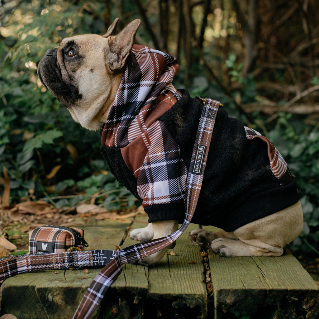 Frenchie Dog Hoodie - Cocoa Plaid by Frenchie Bulldog