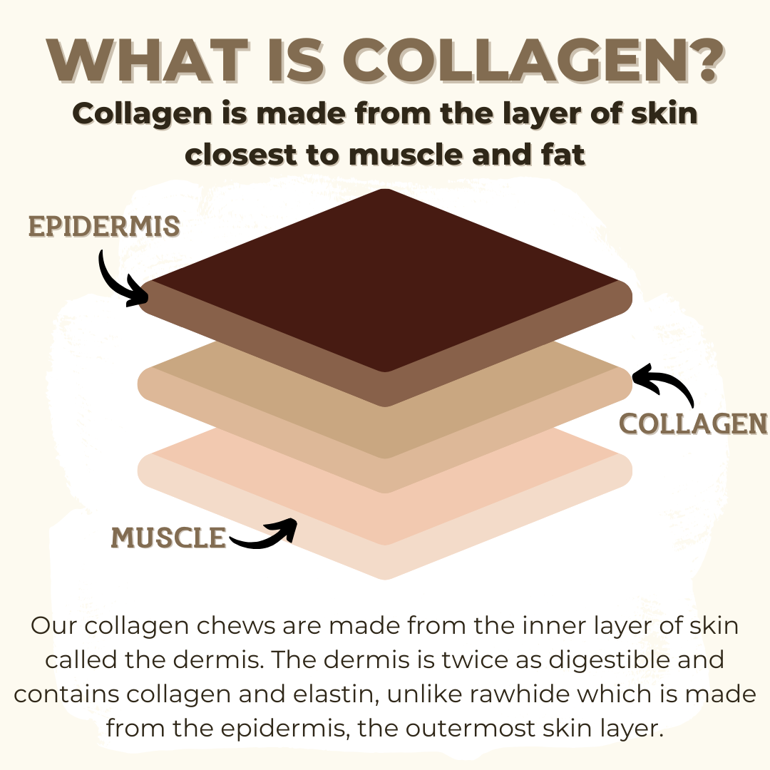 5-6 Inch Collagen Stick by Bully Bunches