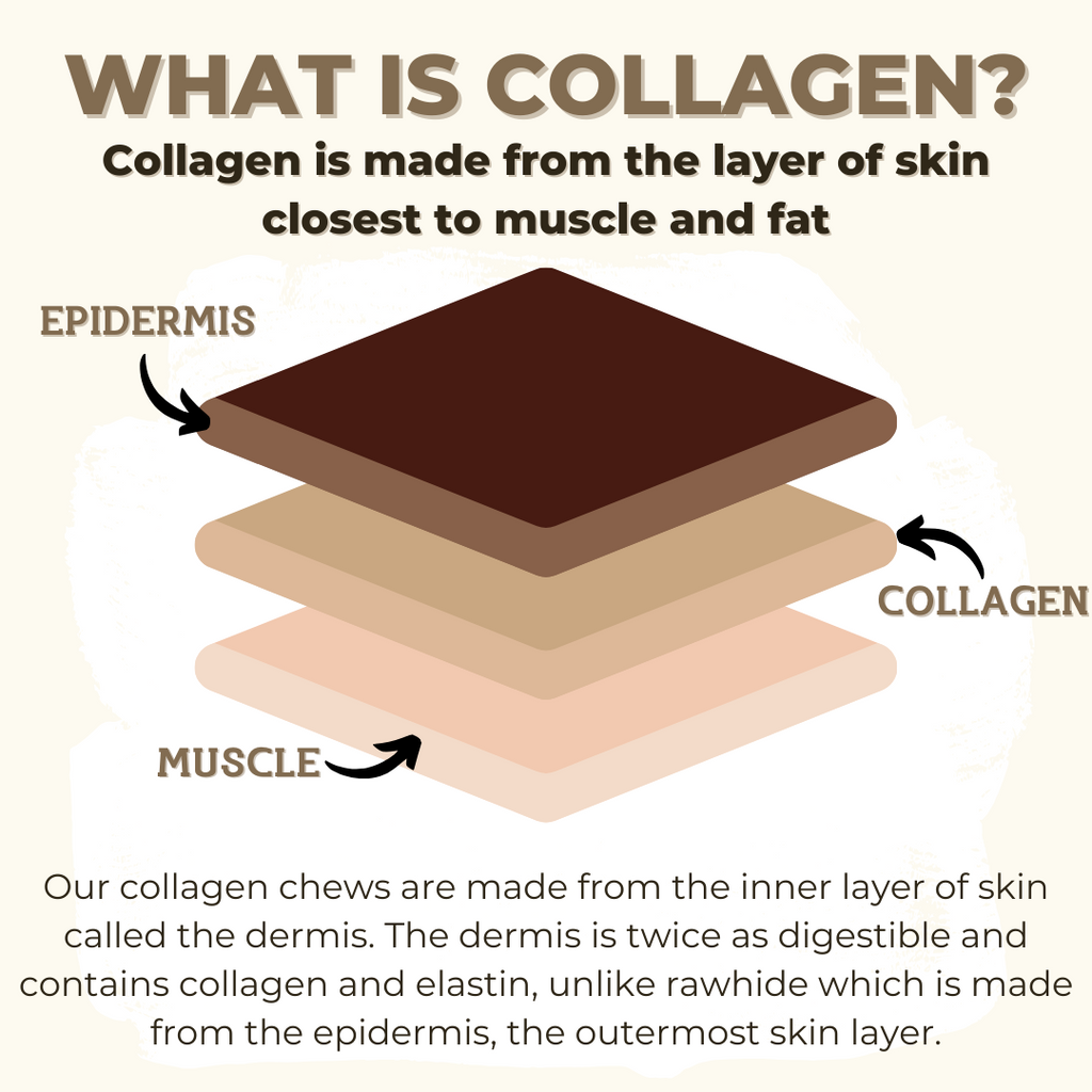 10-12 Inch Collagen Stick by Bully Bunches