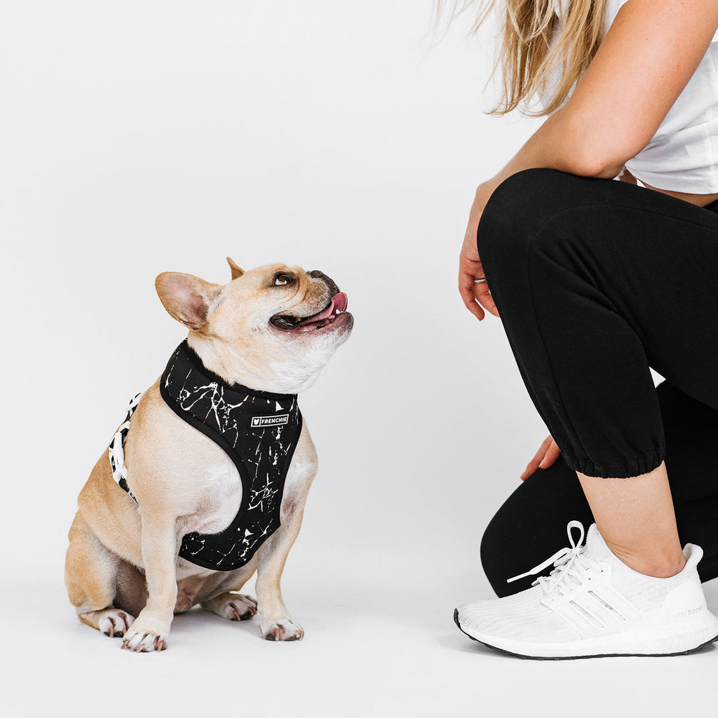 Frenchie Duo Reversible Harness - Black Marble by Frenchie Bulldog