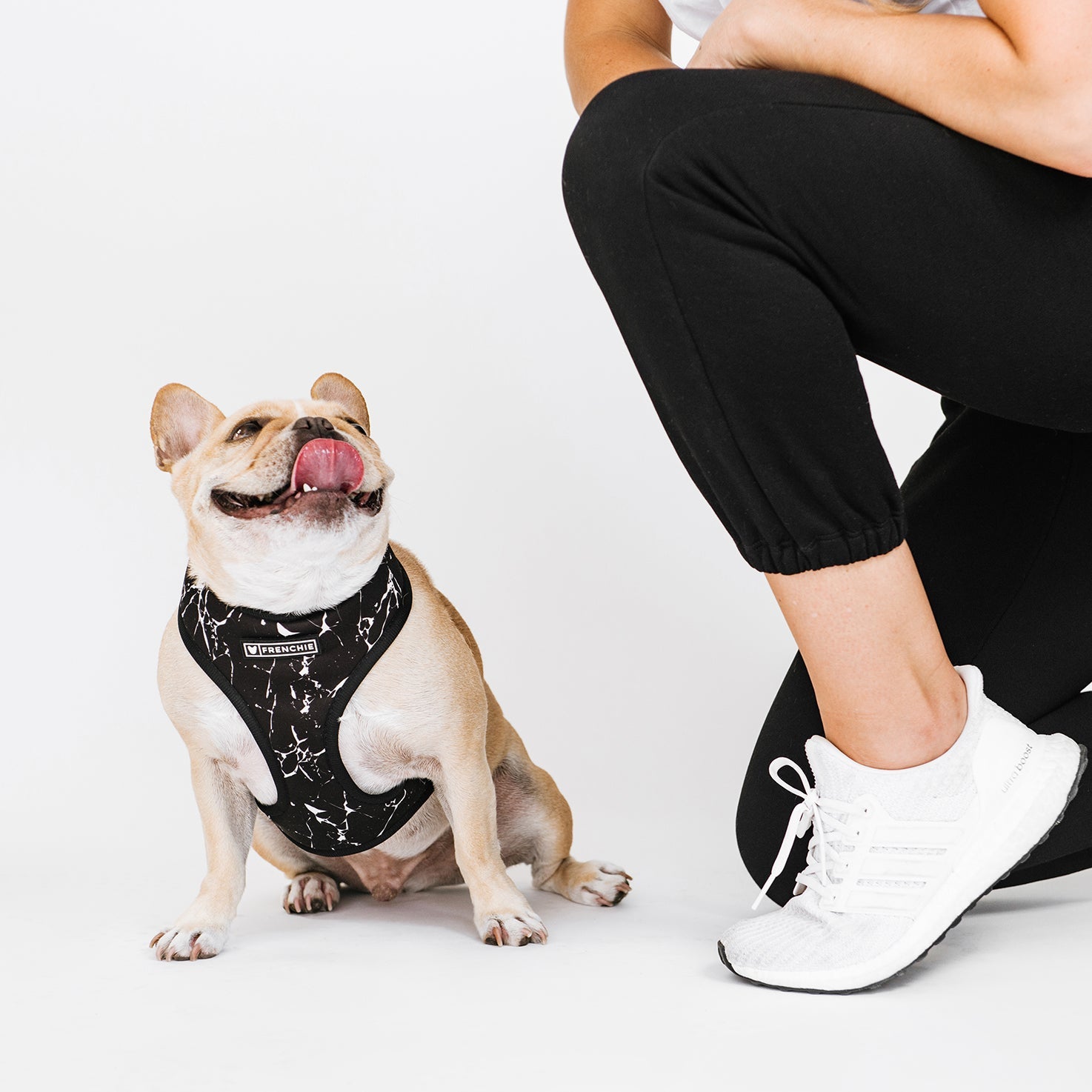 Frenchie Duo Reversible Harness - Black Marble by Frenchie Bulldog
