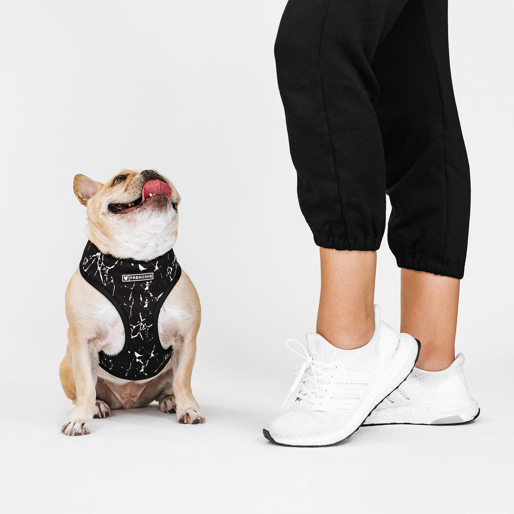 Frenchie Duo Reversible Harness - Black Marble by Frenchie Bulldog