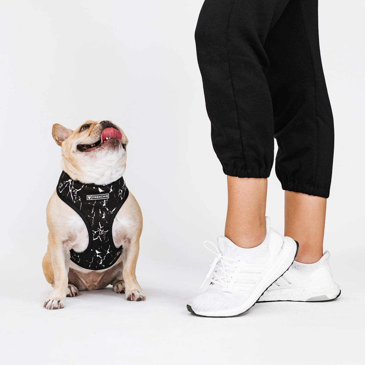 Frenchie Duo Reversible Harness - Black Marble by Frenchie Bulldog