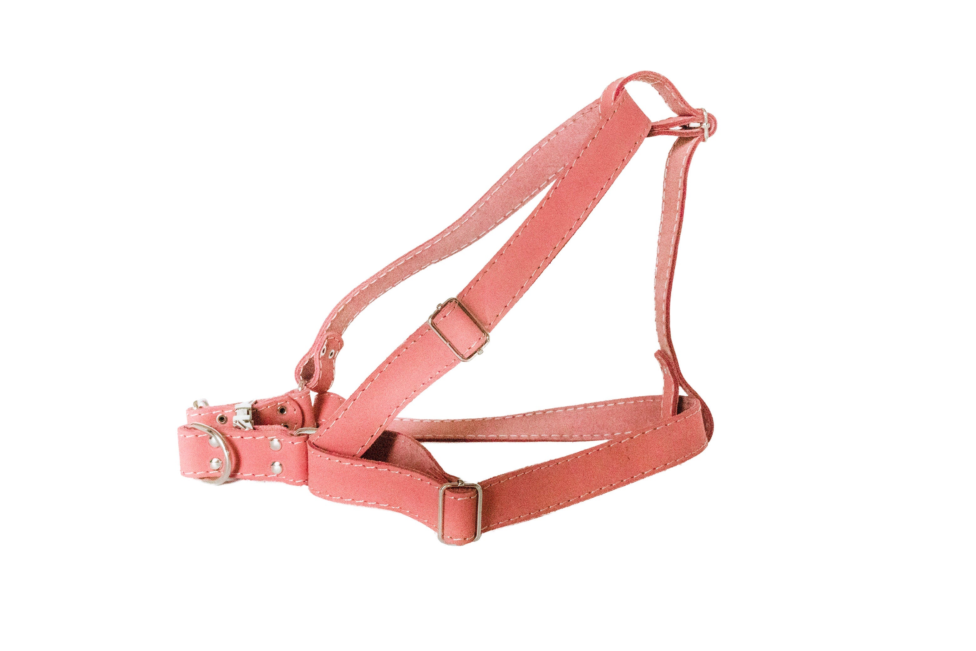 Step In Leather Dog Harness by Euro-Dog Collars and Leads