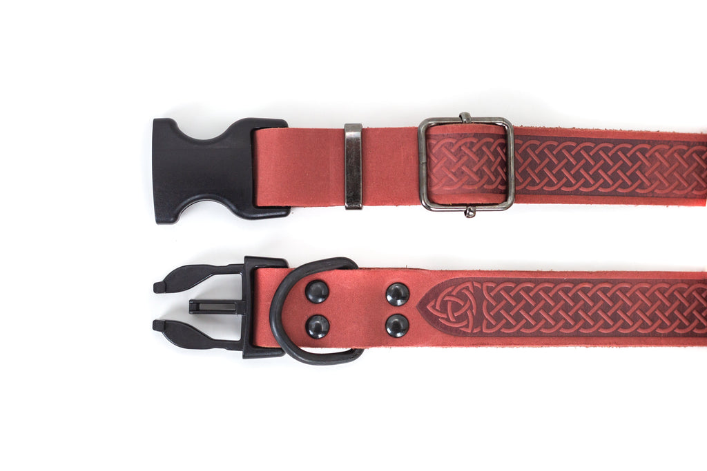 Celtic Sport Coral Reef Leather Dog Collar by Euro-Dog Collars and Leads