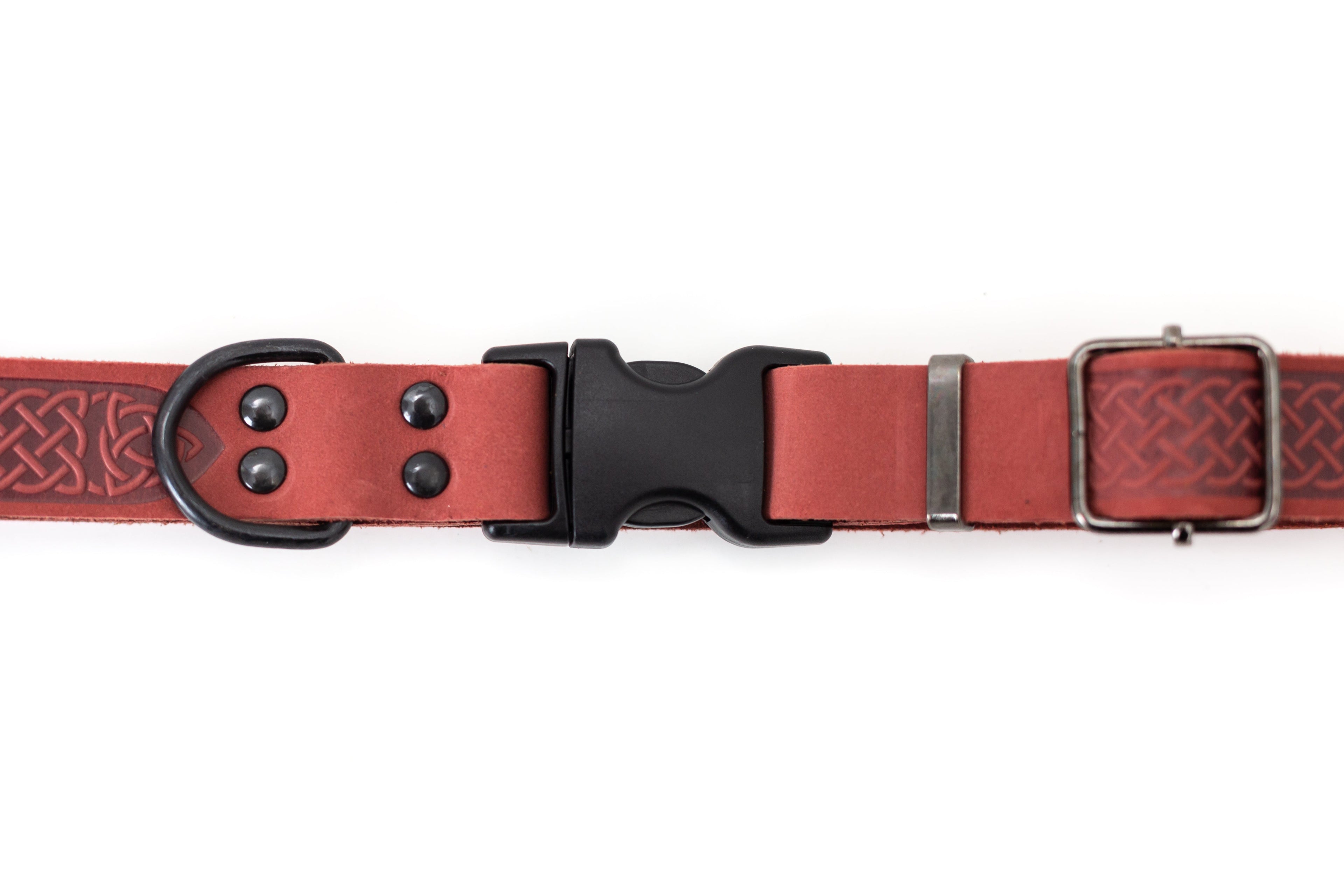 Celtic Sport Coral Reef Leather Dog Collar by Euro-Dog Collars and Leads