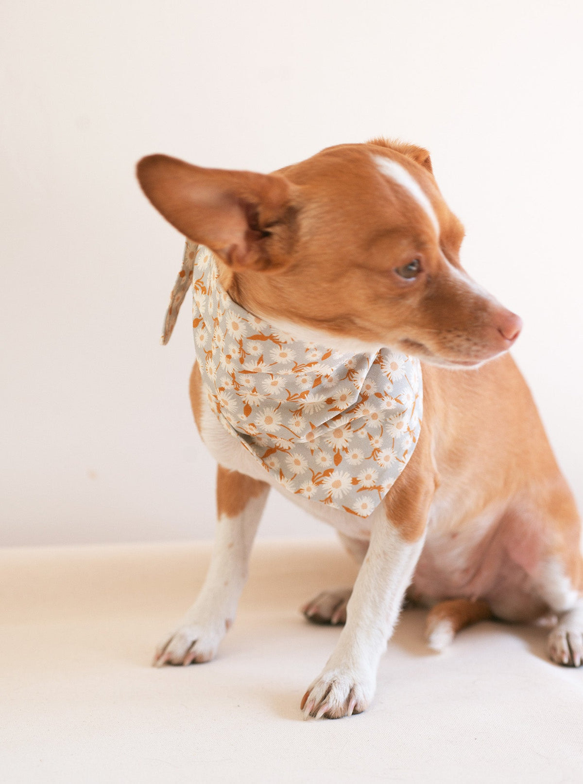 FLORAL BANDANA by MODERNBEAST