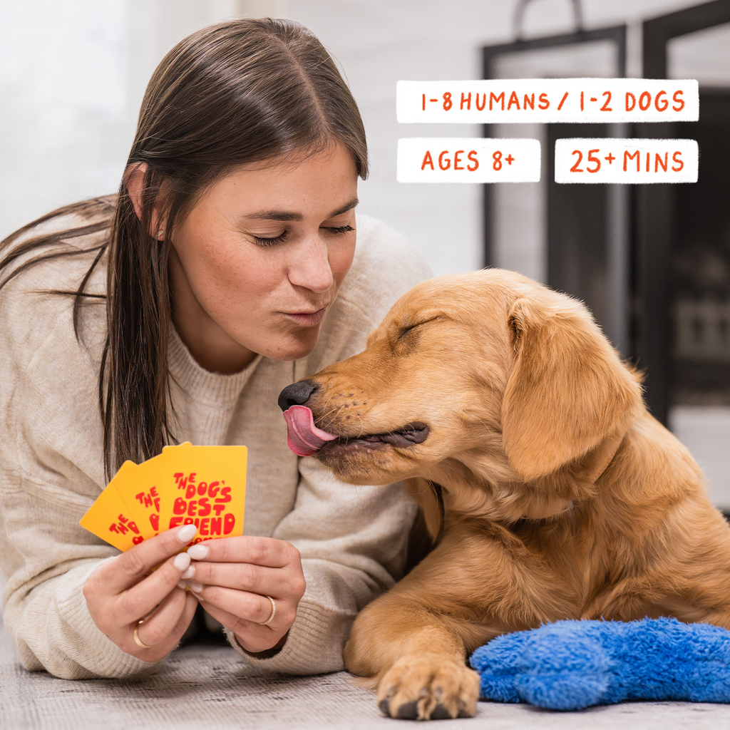 The Dog's Best Friend Game by West Paw