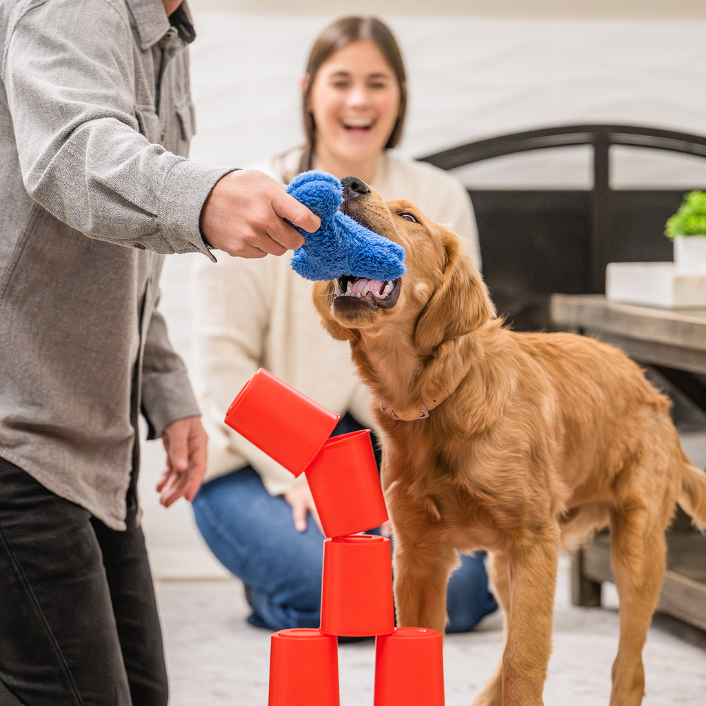 The Dog's Best Friend Game by West Paw