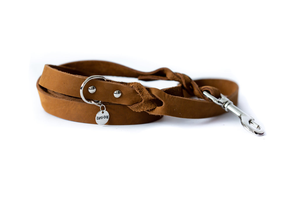 Pro Line Leather Braided Dog Leash by Euro-Dog Collars and Leads