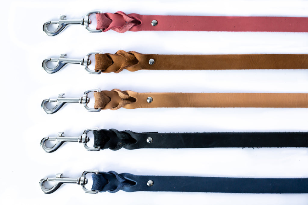 Pro Line Leather Braided Dog Leash by Euro-Dog Collars and Leads