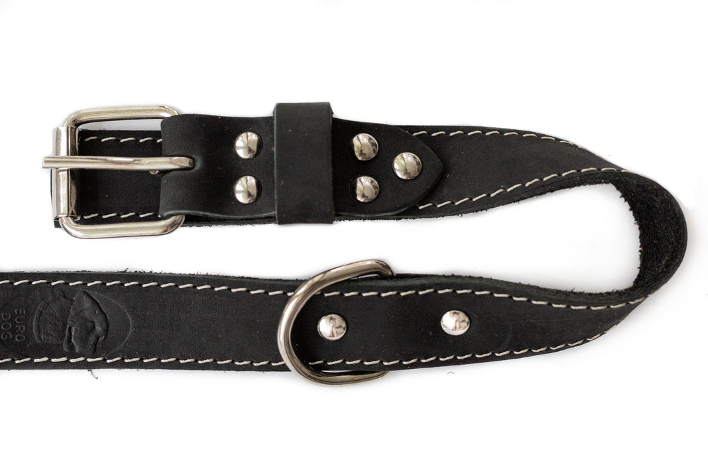 Traditional Black Leather Dog Collar by Euro-Dog Collars and Leads