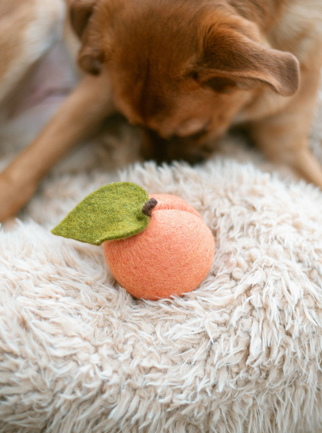 PEACH WOOL DOG & CAT TOY by MODERNBEAST
