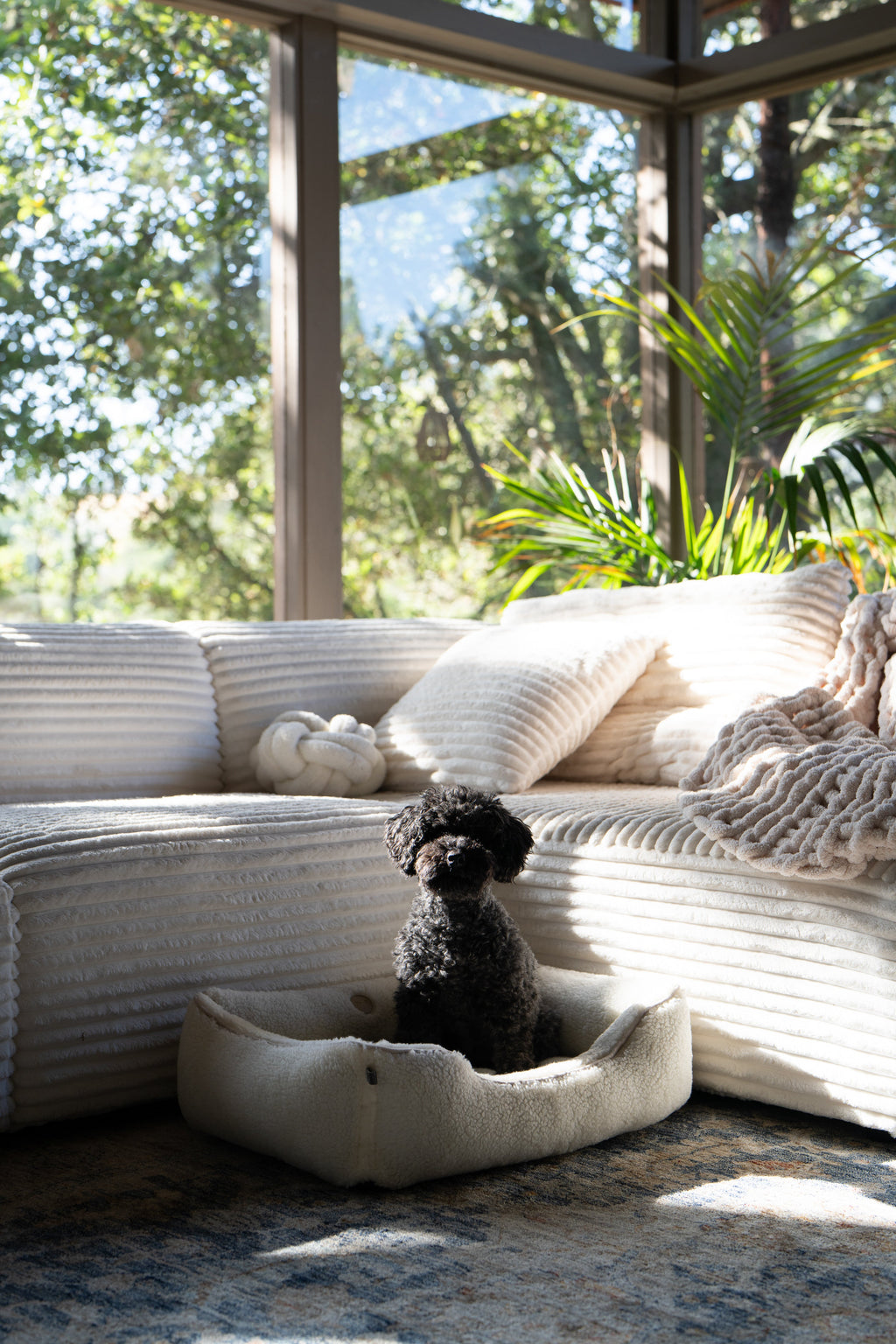 Chester & Lee | Furry Sleeper Dog Bed Gray by Chester & Lee