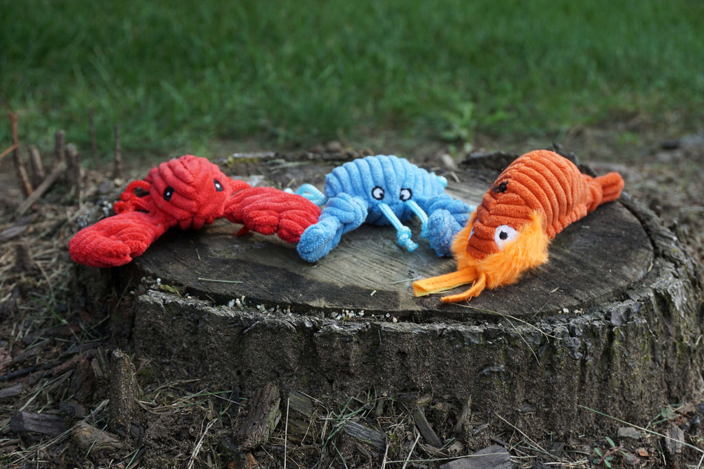 Raw Bar Wee Huggles® Plush Dog Toys, 3 pack by HuggleHounds