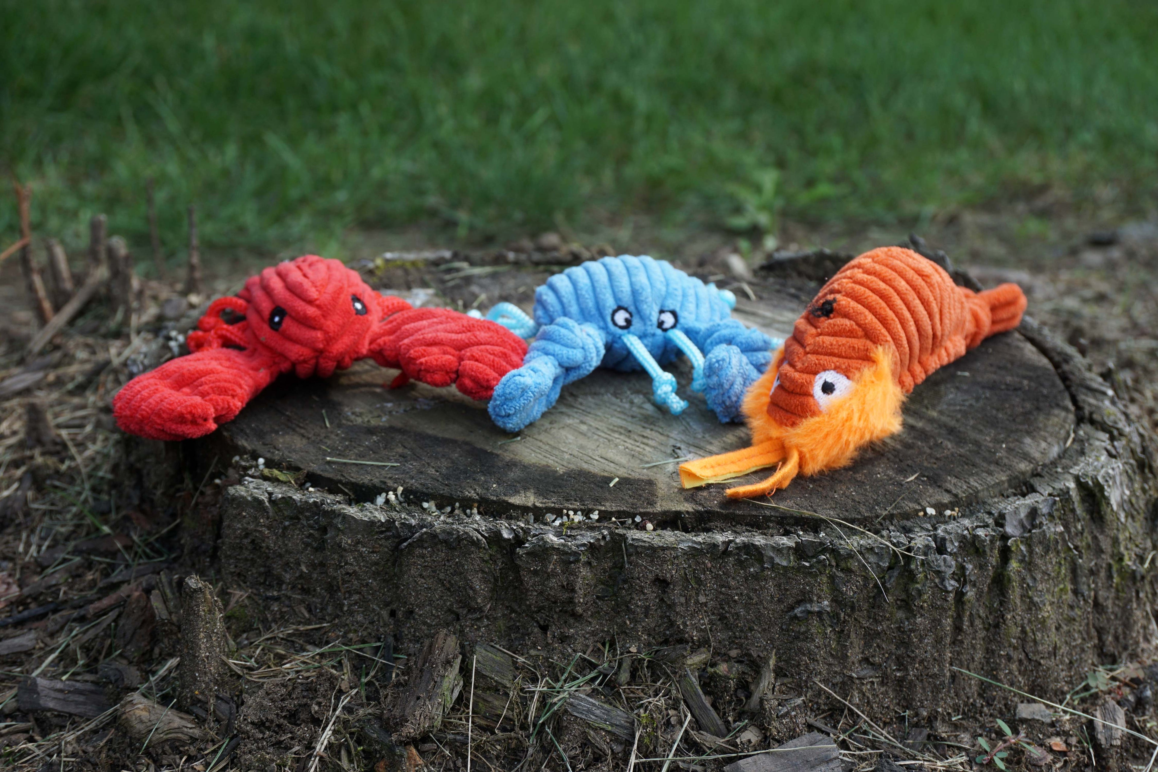 Raw Bar Wee Huggles® Plush Dog Toys, 3 pack by HuggleHounds