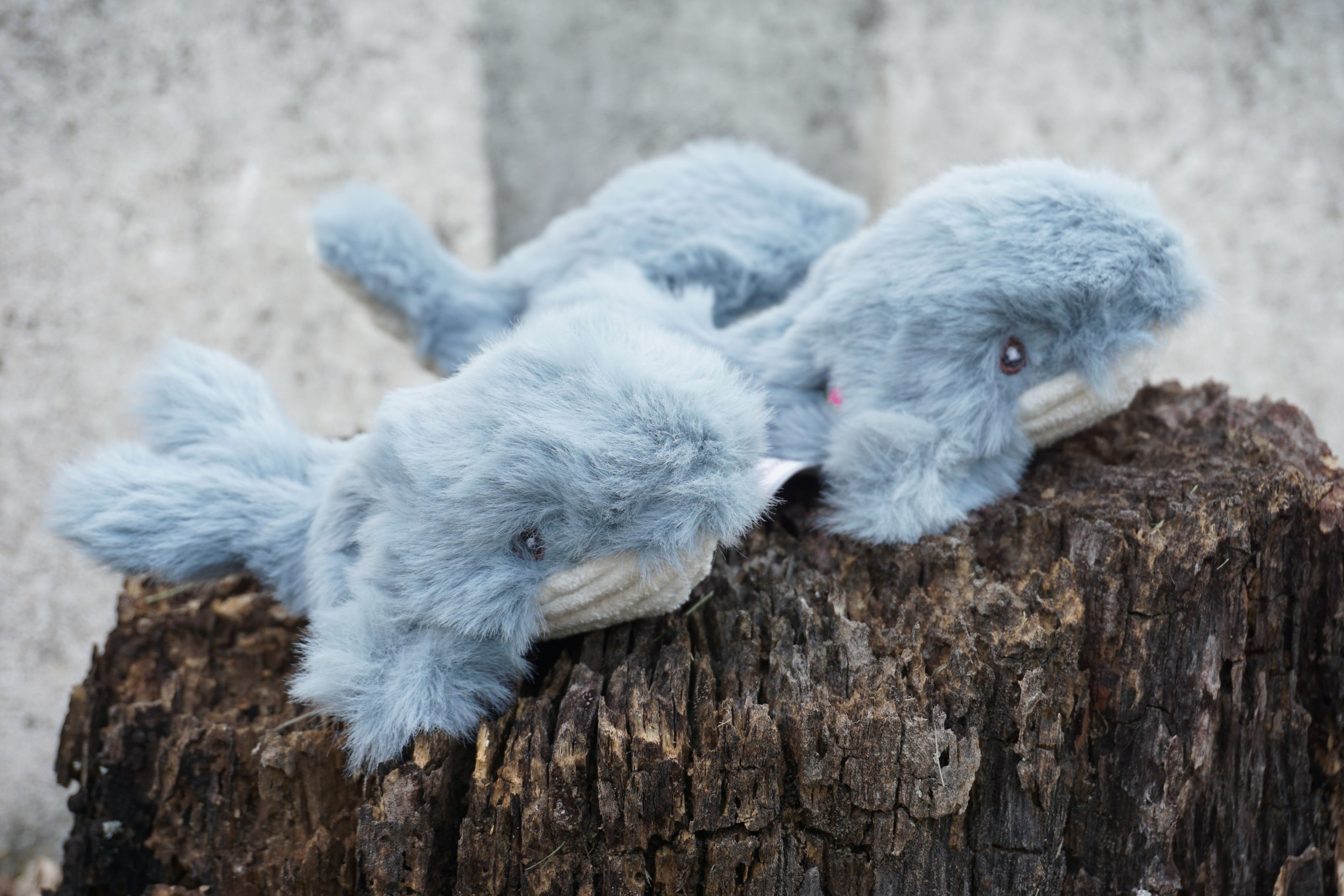 Mobie Whale Wee Huggles® Plush Dog Toys, 3 Pack by HuggleHounds